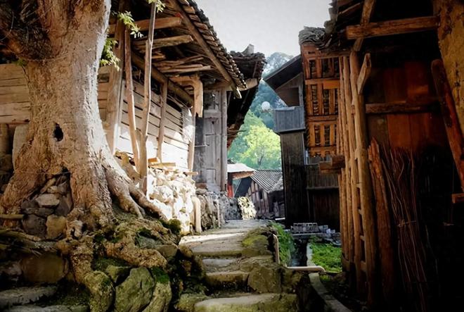 重慶酉陽(yáng)發(fā)現(xiàn)4大傳統(tǒng)村落土家苗寨風(fēng)情獨(dú)特引關(guān)注。(圖1)