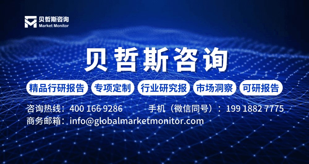 2024年全球及中國(guó)尼龍阻隔材料行業(yè)頭部企業(yè)市場(chǎng)占有率及排名調(diào)研報(bào)告docx(圖1)